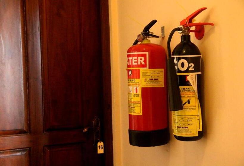 Lake View Hotel & Bungalow Ltd