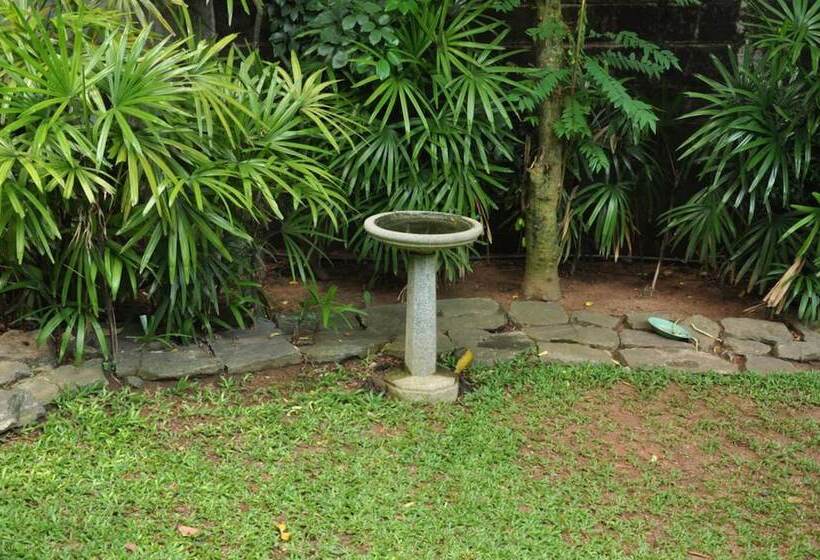 住宿加早餐  Bangalawa