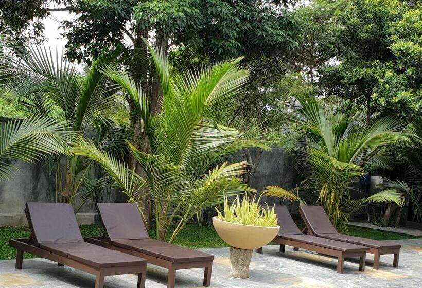 Bed and Breakfast My Village