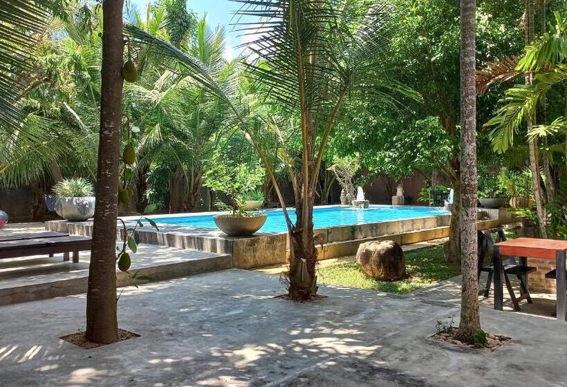 Bed and Breakfast My Village