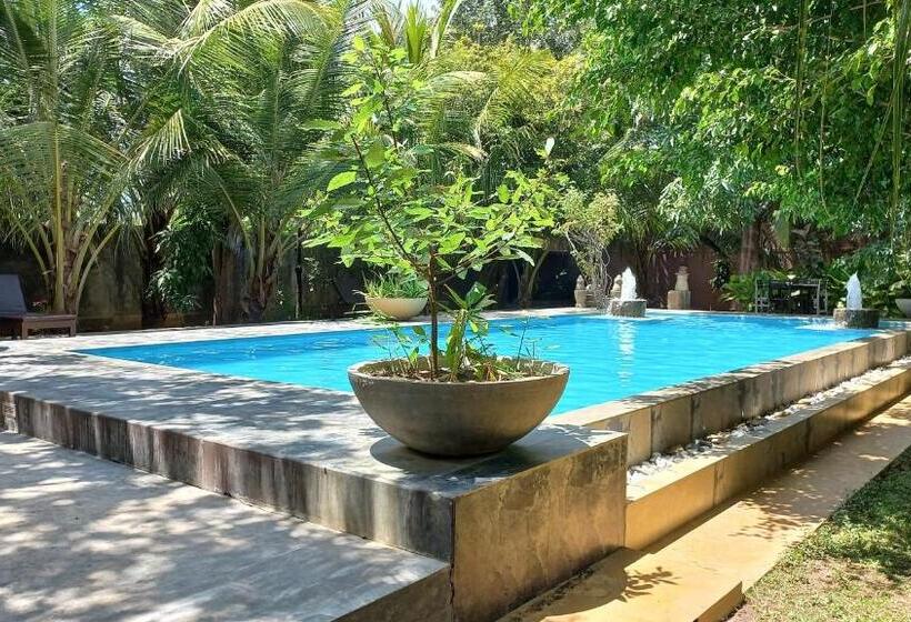 Bed and Breakfast My Village