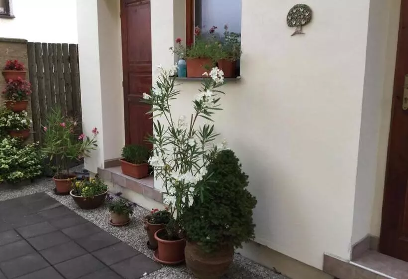 Aamiaismajoitus (B&B) Pension 325