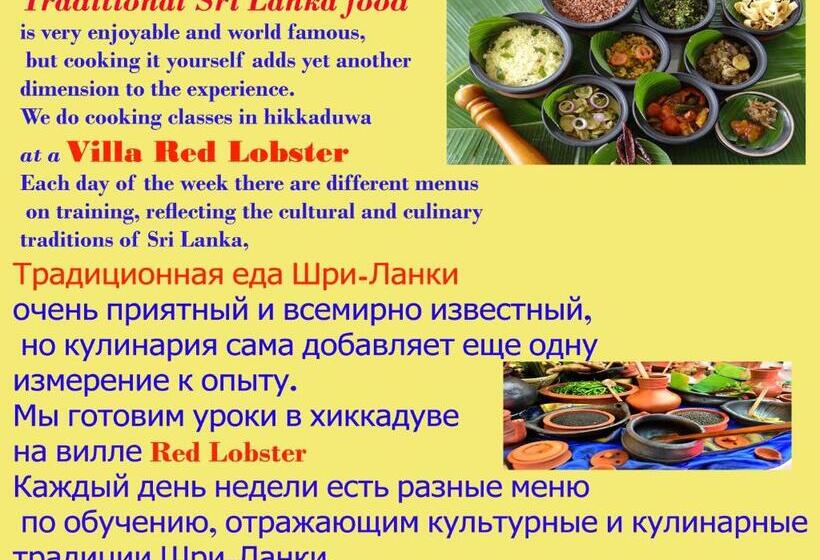 住宿加早餐 Villa Red Lobster