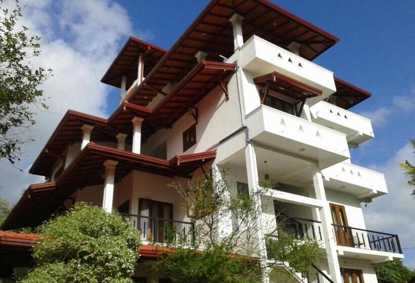 住宿加早餐 Villa Red Lobster