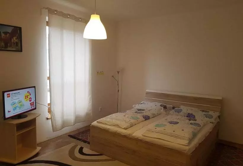 Hostel Opletalova