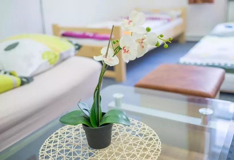 Hostel Opletalova