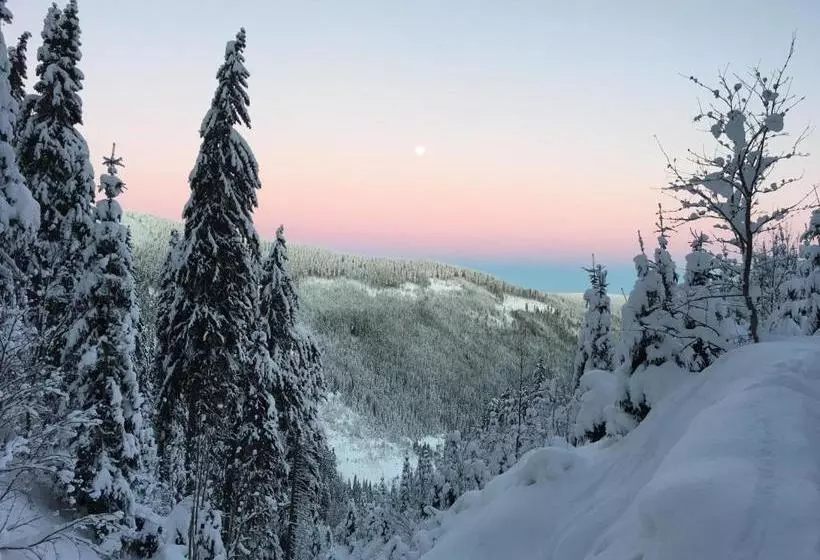 هتل Astoria With Private Skibus