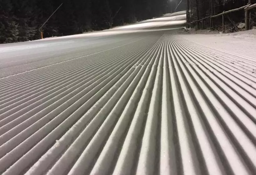 هتل Astoria With Private Skibus
