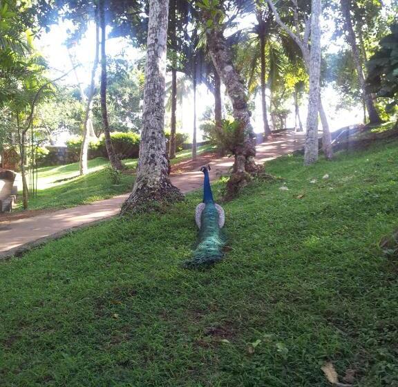 ホテル Palace Mirissa