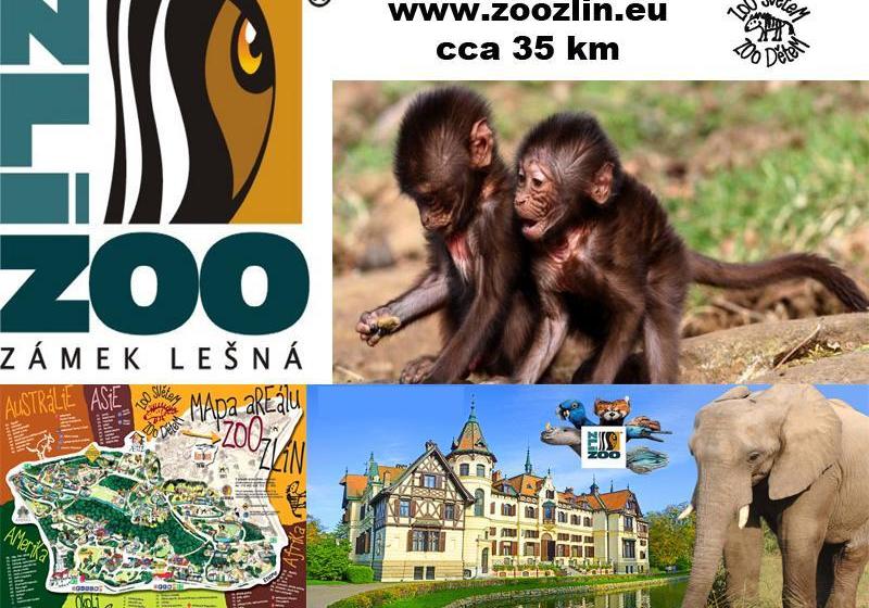 ホテル & Spa Centrum Palmira