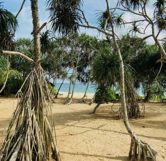 Отель Sanjis The Seaside Cabanas