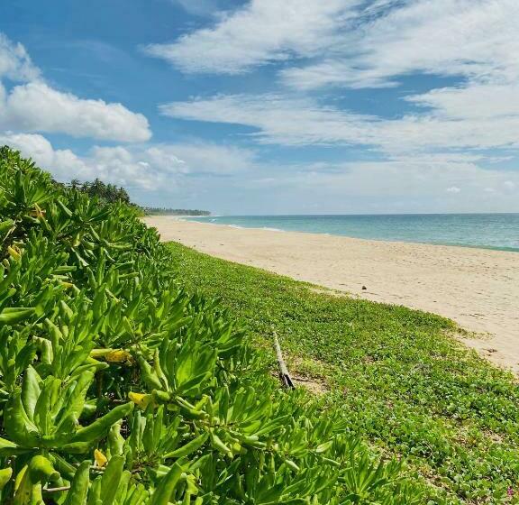 Отель Sanjis The Seaside Cabanas