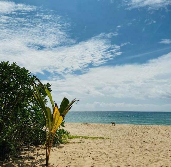Отель Sanjis The Seaside Cabanas