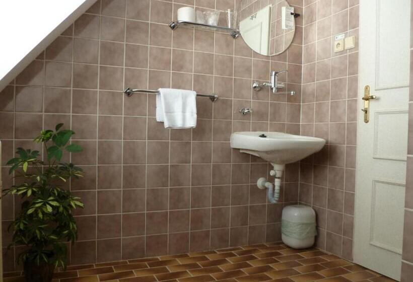 فندق U Apoštola