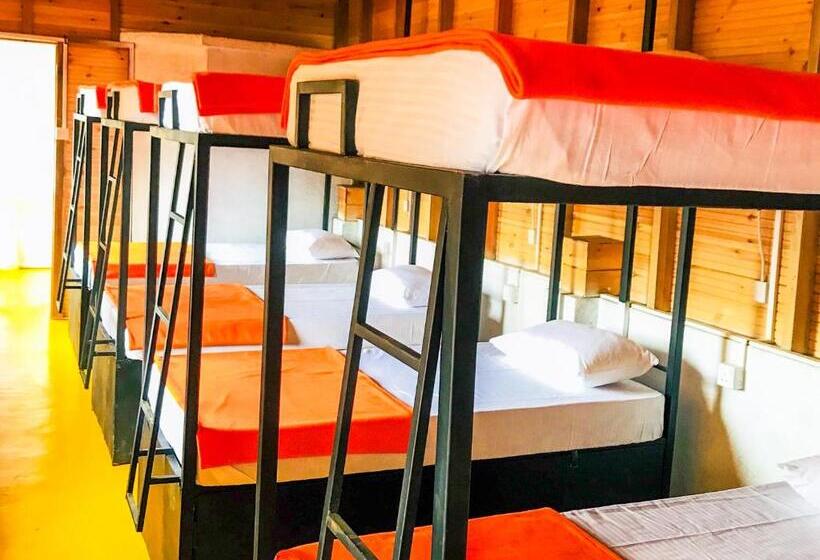 استراحتگاه Ella City Reach Hostel