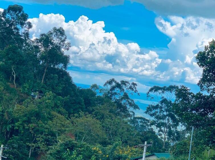 استراحتگاه Ella City Reach Hostel