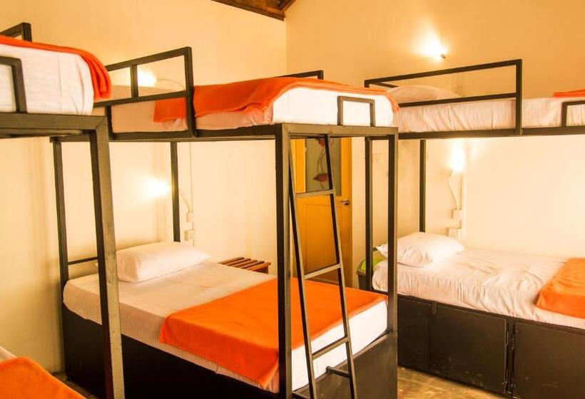 استراحتگاه Ella City Reach Hostel