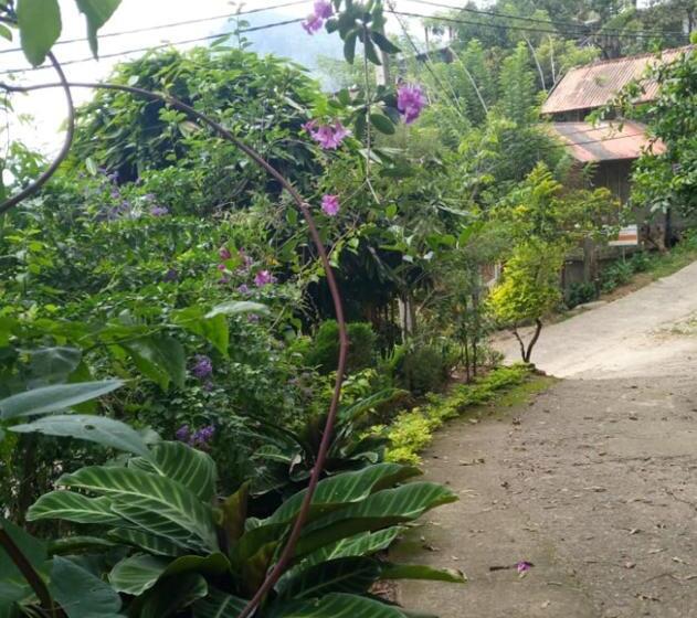 استراحتگاه Ella City Reach Hostel