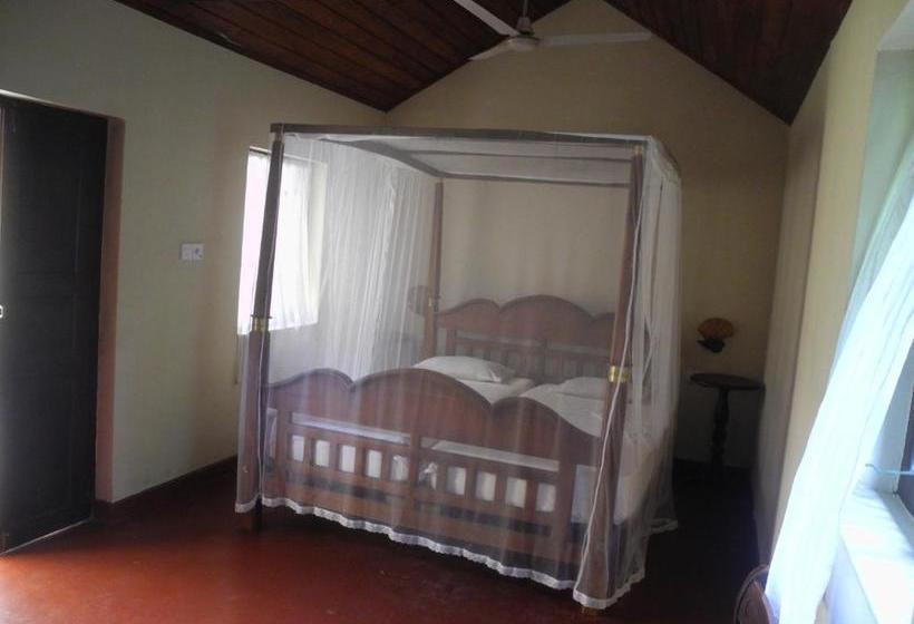 Top Of The Hill Guesthouse