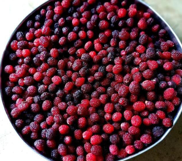 膳宿费 The Himalayan Heaven Home Stay