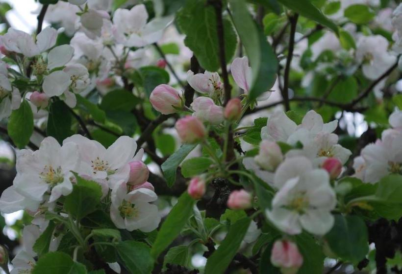 هاستل Valla Folkhögskola