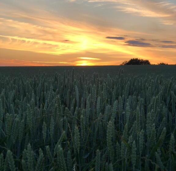 Glimminge Bed & Breakfast