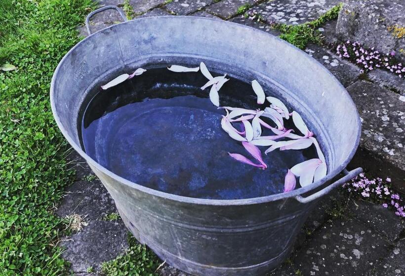 Glimminge Bed & Breakfast