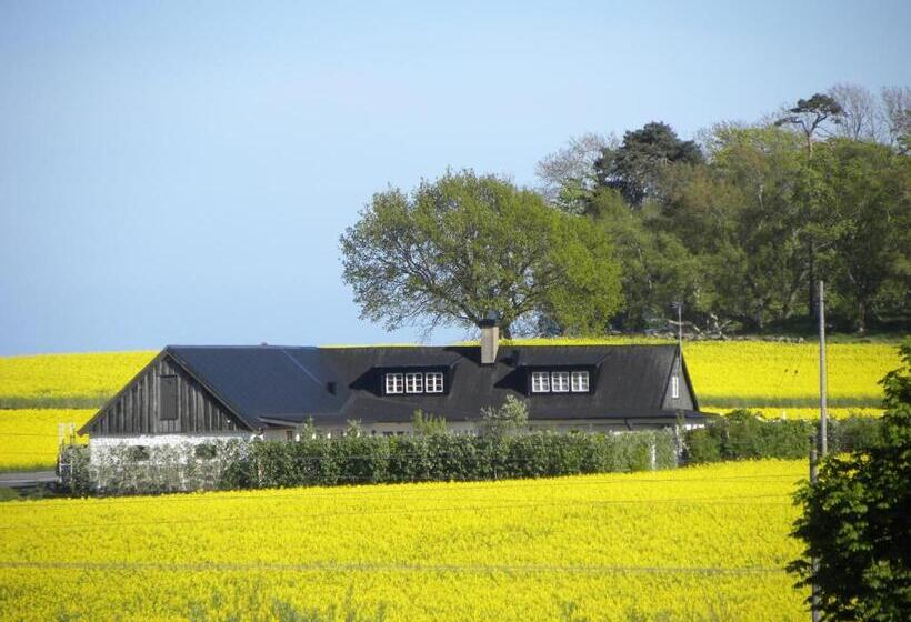 Glimminge Bed & Breakfast