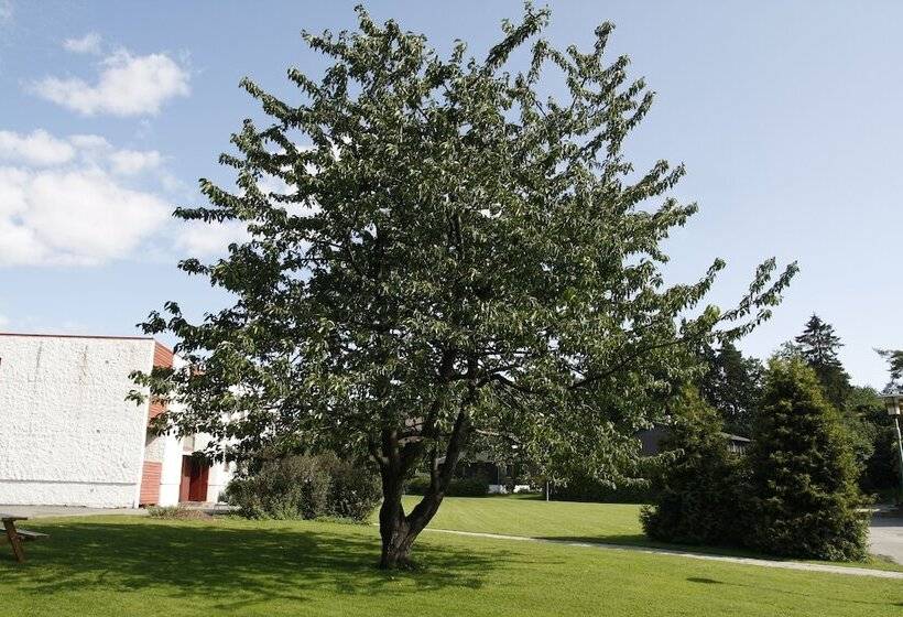 Hi Oslo Holtekilen Vandrerhjem   Hostel