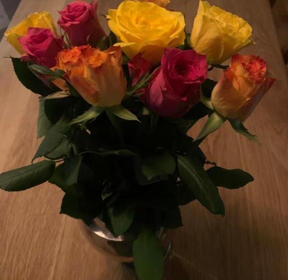 Stenholmens Gårdshotell