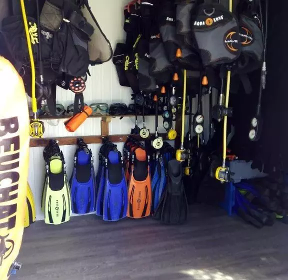 ベッドアンドブレックファースト Puravida Divehouse