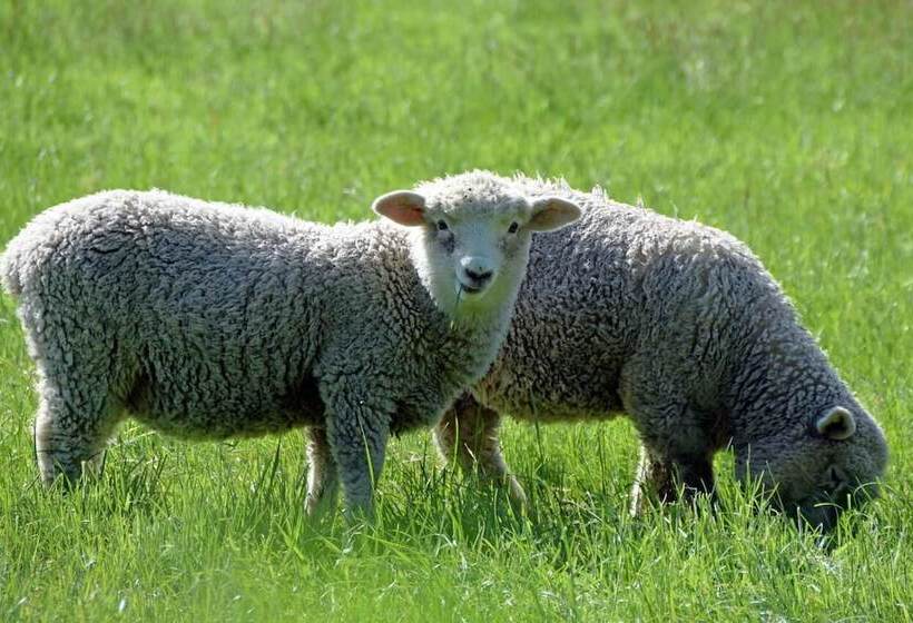 민박 Revive On Oakview Boutique Accommodation And Spa