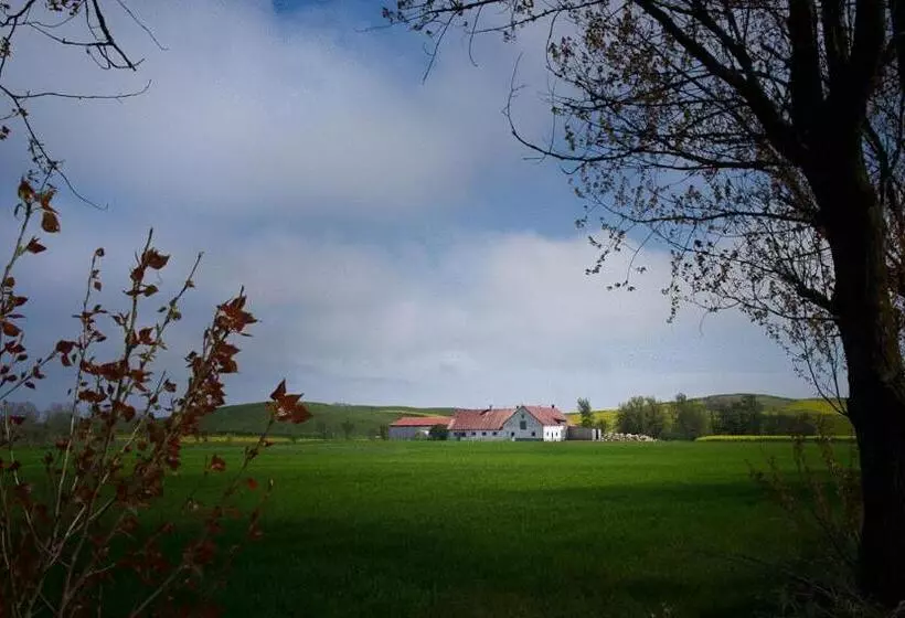 Bed & Breakfast Vinkille