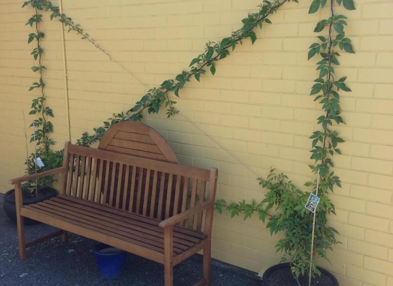 Mount View Motel Hawera