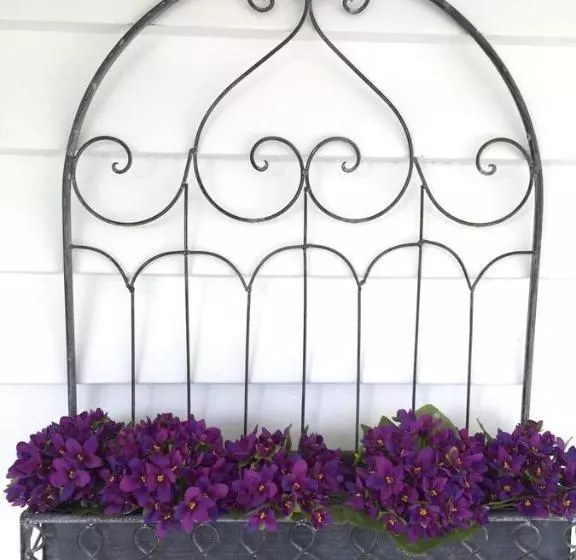 Te Moana Bed & Breakfast