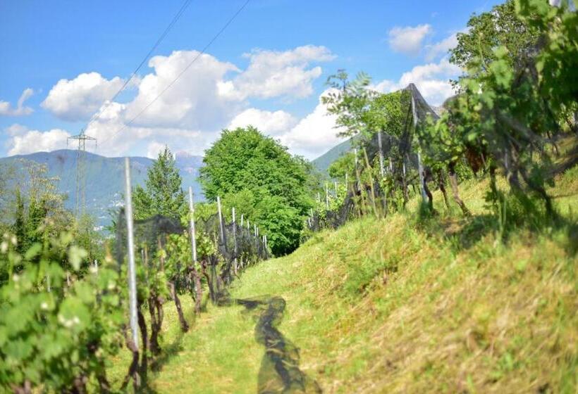 ベッドアンドブレックファースト Viva Bacco