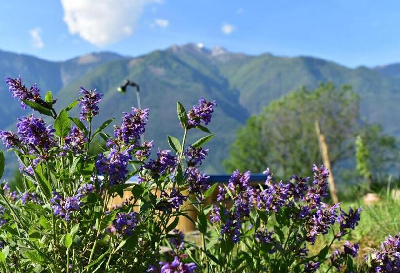 ベッドアンドブレックファースト Viva Bacco