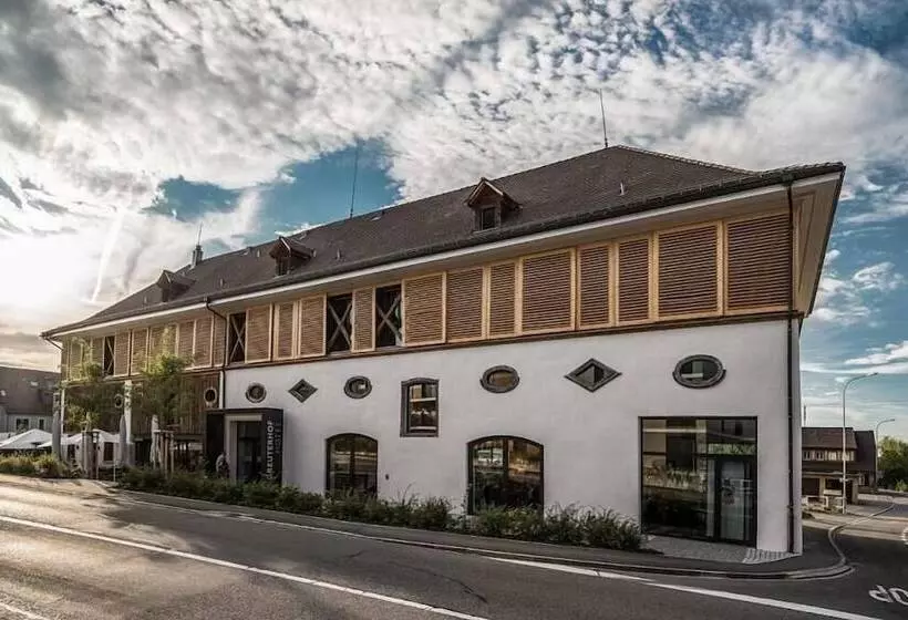 Hotelli Greuterhof Islikon