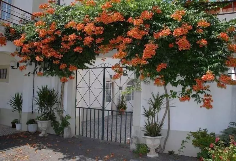 Hotelli Quinta Do Viso