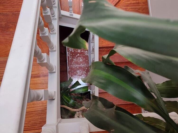 Vila Hotel By Vimahotels