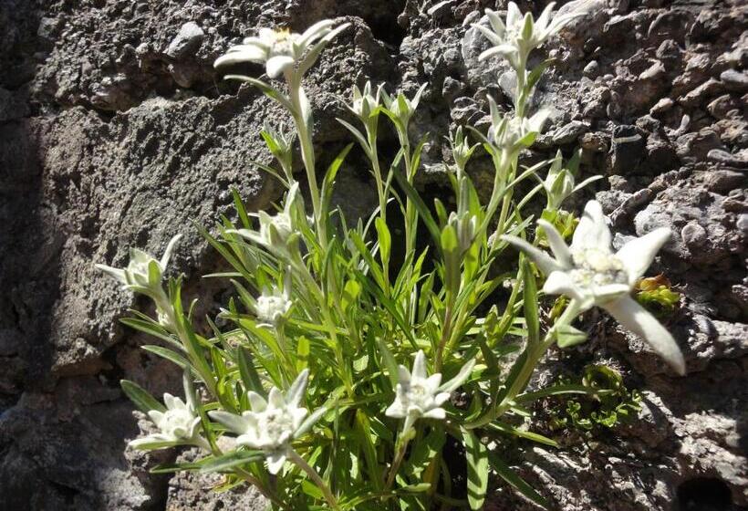 Lehmann's Herberge Hostel