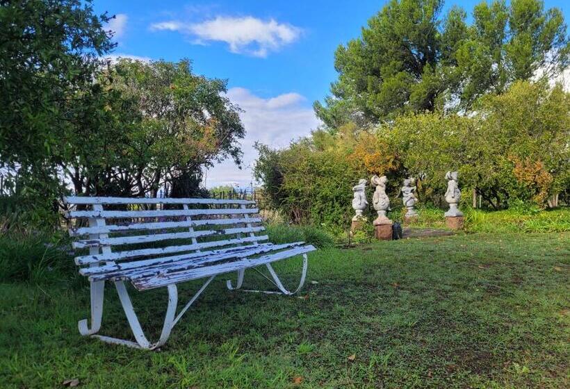 At The Nest Bed & Breakfast Guesthouse