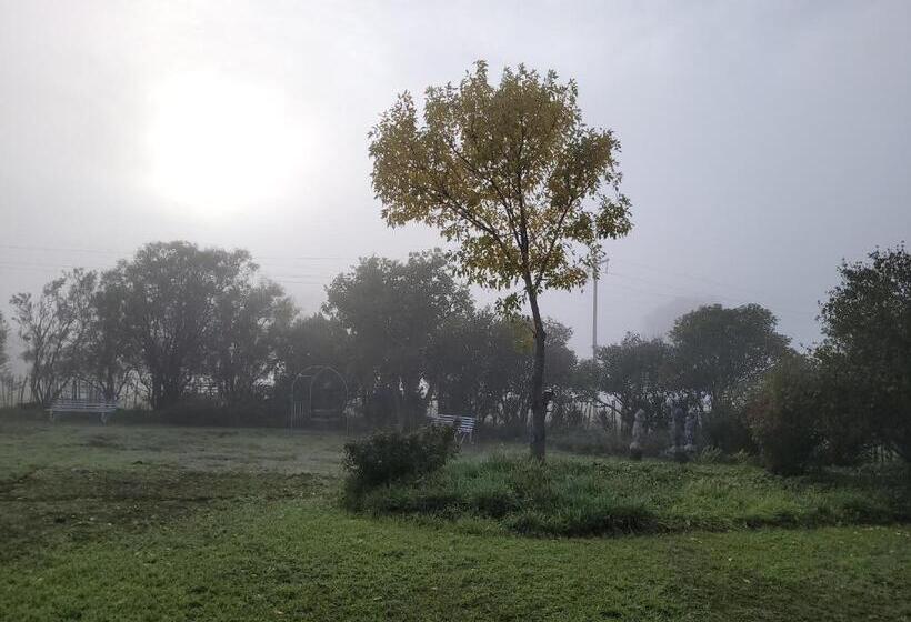 At The Nest Bed & Breakfast Guesthouse