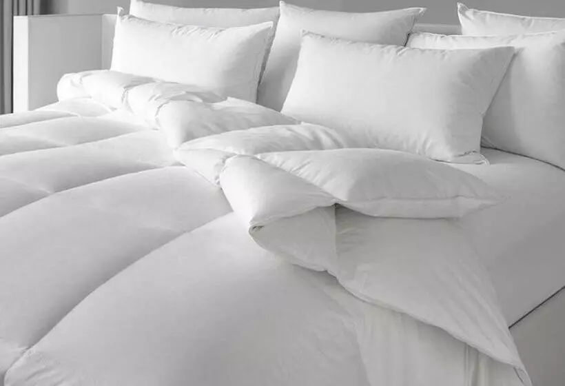 ホテル Citrea Santander