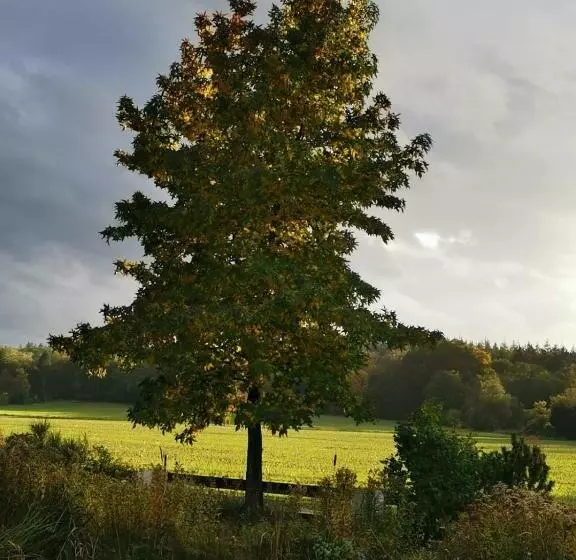B&b Bovenweg