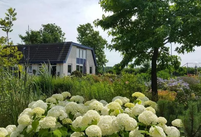 B&b Bovenweg