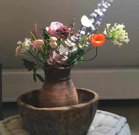 B&b De Drentse Es