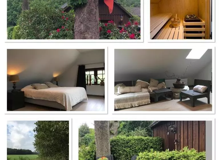 B&b De Drentse Es