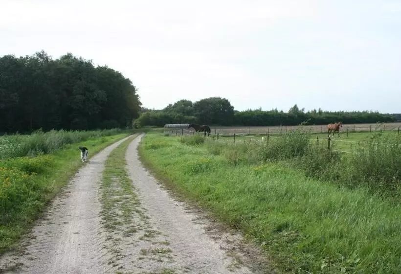 B&b De Drentse Es