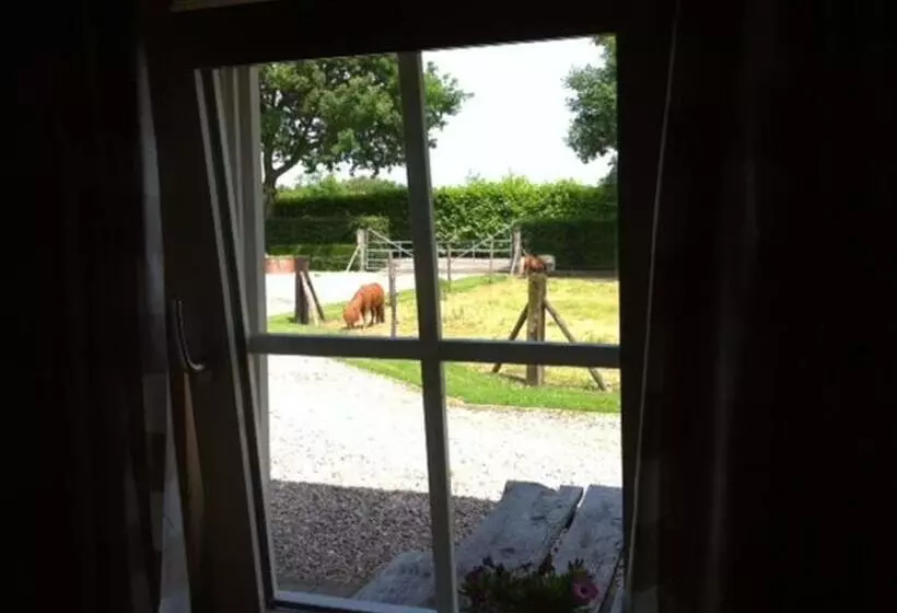 B&b Hofstede De Groote Laar
